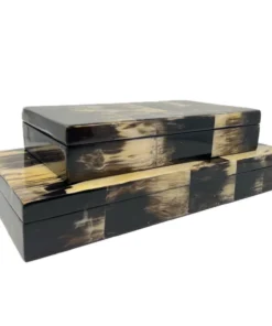 MooMoo Designs HORN BLACK BOX