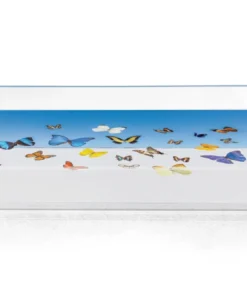 SERVING GRAY MALIN BUTTERFLIES TRAY