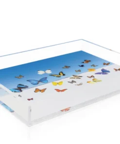 SERVING GRAY MALIN BUTTERFLIES TRAY