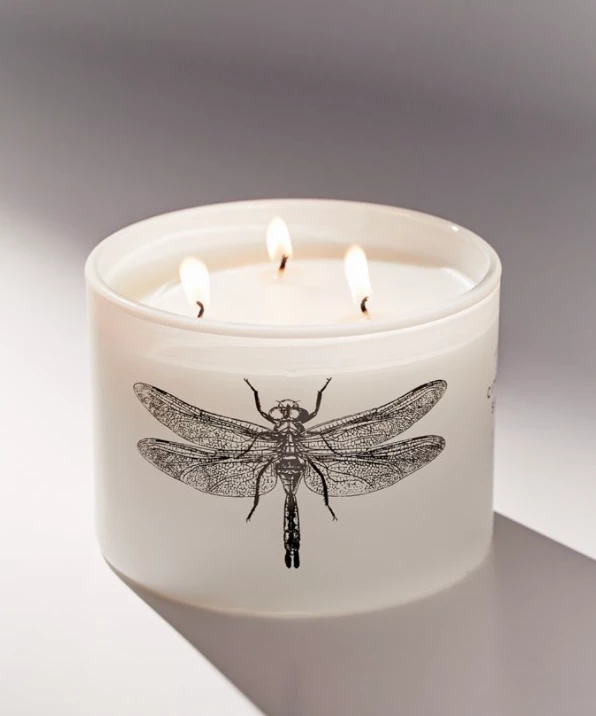 SKEEM DESIGN CANDLELIGHT CITRONELLA CANDLE SEA SALT 2 SKEEM DESIGN CANDLELIGHT CITRONELLA CANDLE SEA SALT