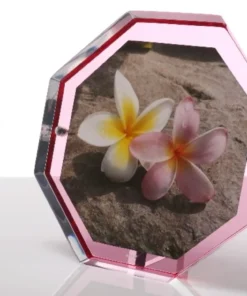 Alexandra Von Furstenberg VOLTAGE OCTAGONAL SNAP FRAME ROSE THE HOME