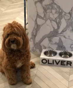 EYE CANDY PERSONALIZED ACRYLIC DOG BOWL | STANDARD & MINI SIZES