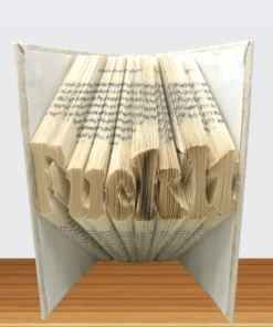 E. Lawrence THE HOME ORIGAMI FOLDED FUCK IT BOOK