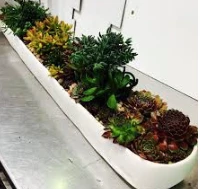 Tina Frey Designs THE HOME RESIN TROUGH | TINA FREY | SHORT | WHITE