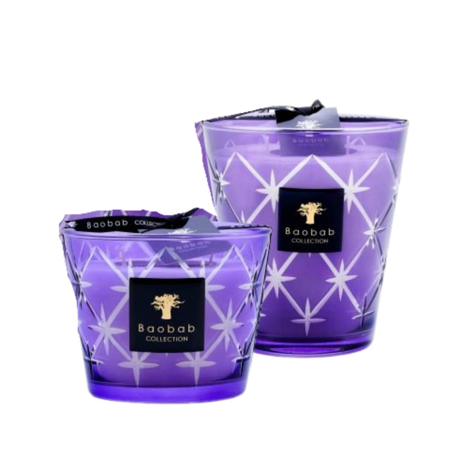 Baobab Collection Inc. BORGIA RODRIGO CANDLE | VARIOUS 1 Baobab Collection Inc. BORGIA RODRIGO CANDLE | VARIOUS