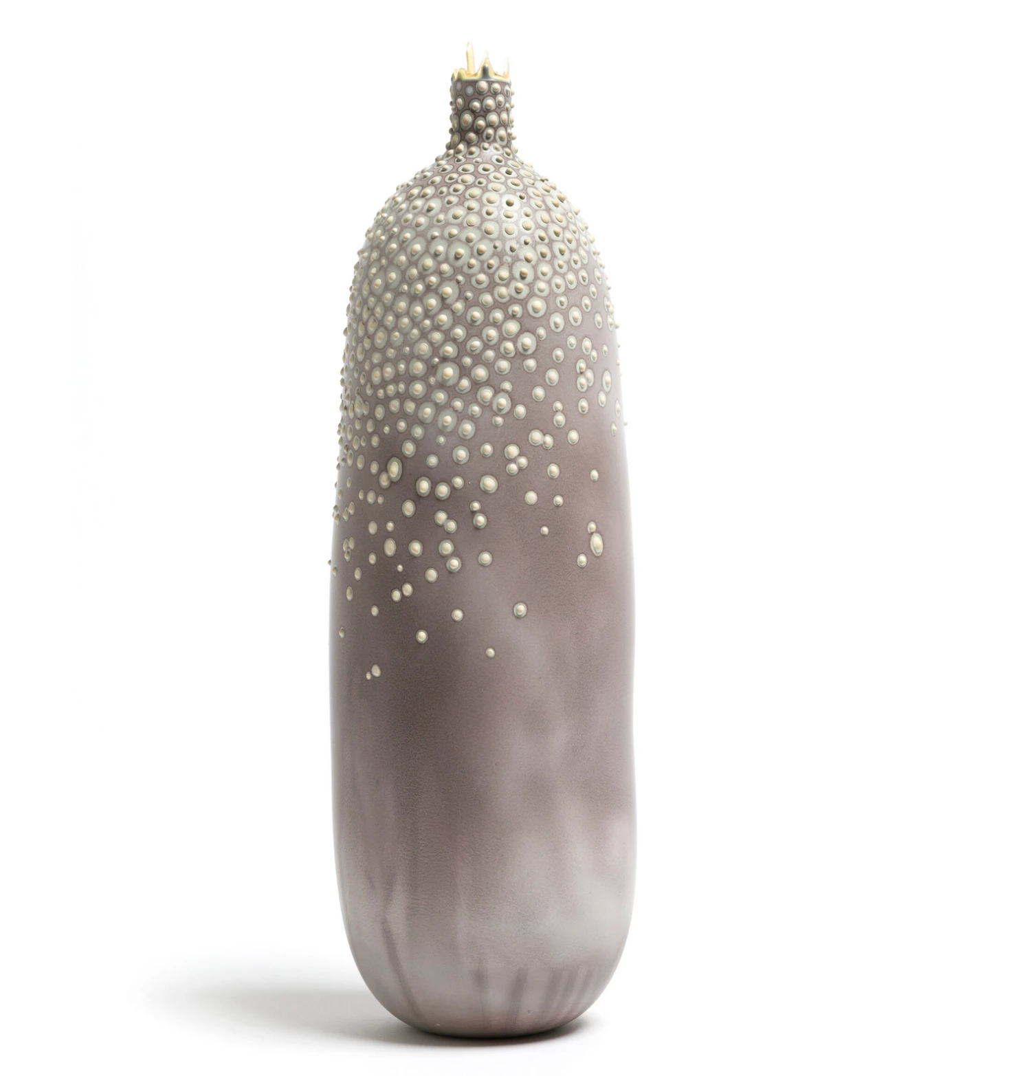 Elyse Graham DUBOS MICROBE VASE | DUST THE HOME 1 Elyse Graham DUBOS MICROBE VASE | DUST THE HOME