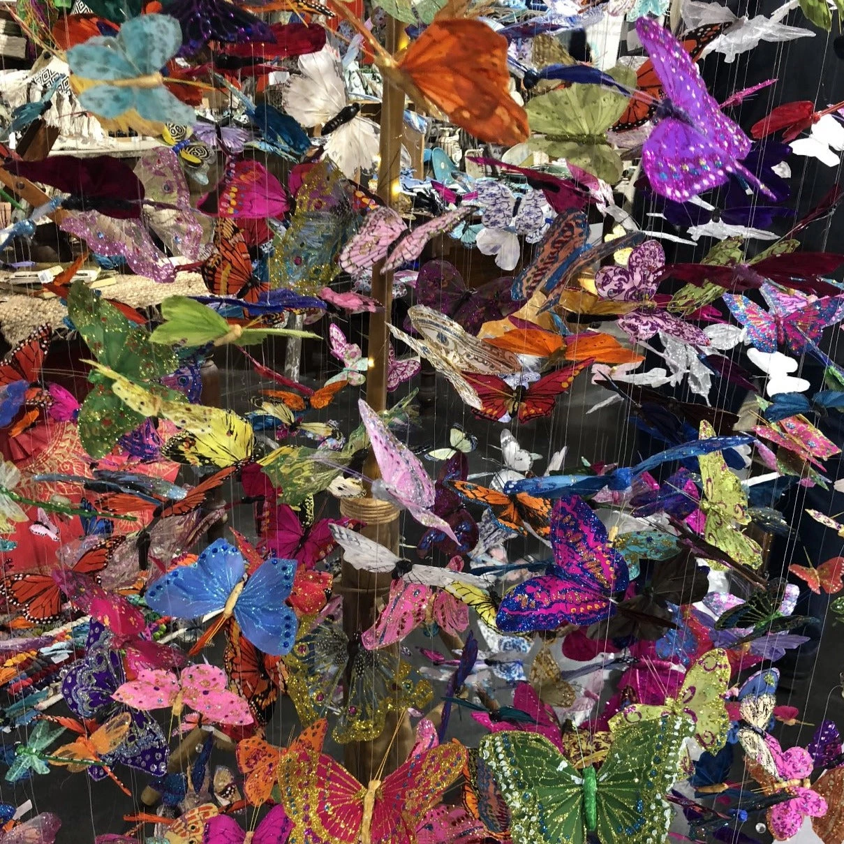 Robin Maizes WALL DECOR BUTTERFLY NIGHTS PLEXI PHOTOGRAPHY ART 1 Robin Maizes WALL DECOR BUTTERFLY NIGHTS PLEXI PHOTOGRAPHY ART