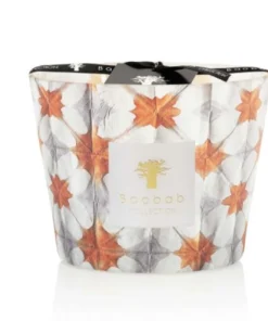 Baobab Collection Inc. ODYSSEE CALYPSO CANDLE BAOBOB CANDLELIGHT